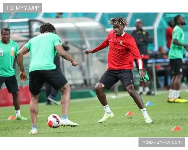 喀麦隆主帅里戈贝特·宋战术调整 换人决策引发讨论